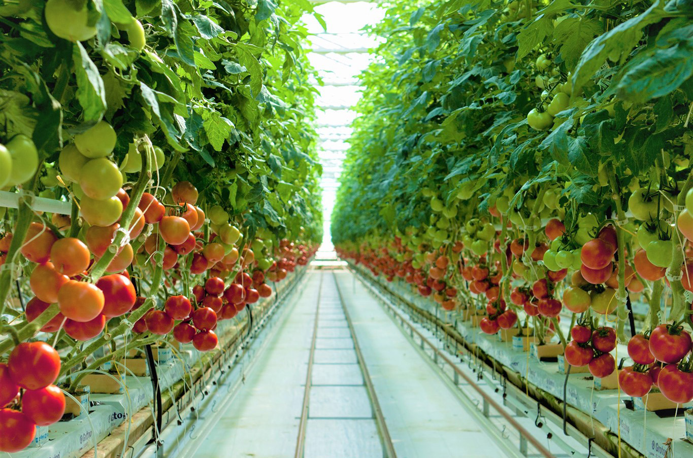 Bushel Boy to Pay $200K for Unpaid Overtime