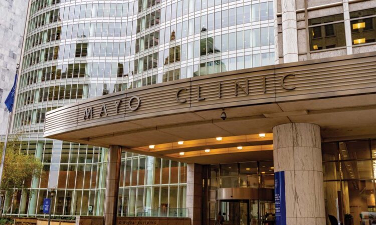 Rochester Rising: Employment