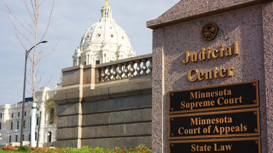 Minnesota Supreme Court Bows Out in Michelle MacDonald Case