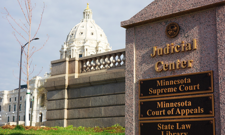 Minnesota Supreme Court Bows Out in Michelle MacDonald Case