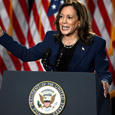 Business to Business: Vote Harris