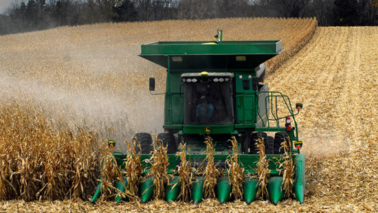 Minnesota Farmers Weigh Harris and Trump on Ag Policy