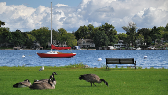 The Under-the-Radar Minnesota Senate Race That Could Disrupt DFL Trifecta