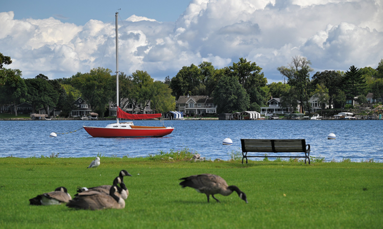 The Under-the-Radar Minnesota Senate Race That Could Disrupt DFL Trifecta