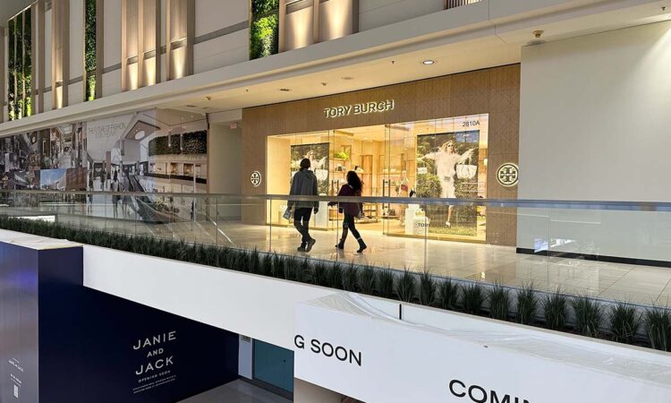 All Southdale Wants for Christmas Is Traffic