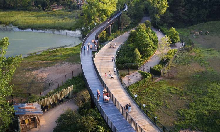 Minnesota Zoo’s Treetop Trail