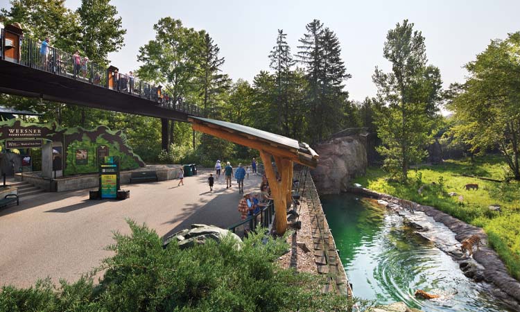 Minnesota Zoo’s Treetop Trail