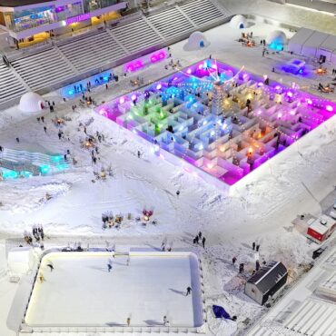 Ice Entrepreneurs Bank on Cold Forecast