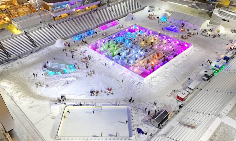 Ice Entrepreneurs Bank on Cold Forecast