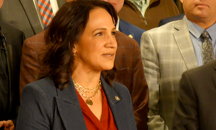 Can the Minnesota House Even Function This Year?