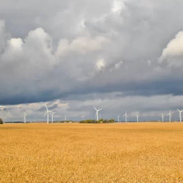 Minnesota Electricity Generated by Renewables Held Flat in 2024