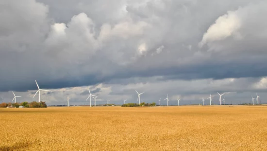 Minnesota Electricity Generated by Renewables Held Flat in 2024