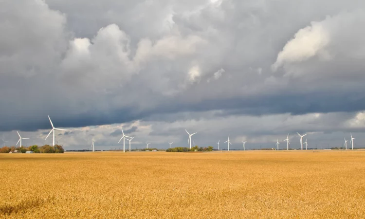 Minnesota Electricity Generated by Renewables Held Flat in 2024