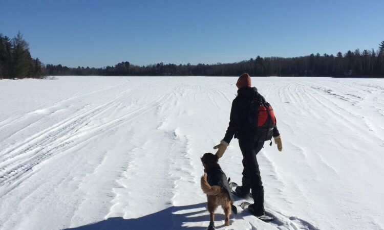 The Retirement ‘Rewirement’