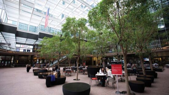 Crystal Court Banks on Better Days