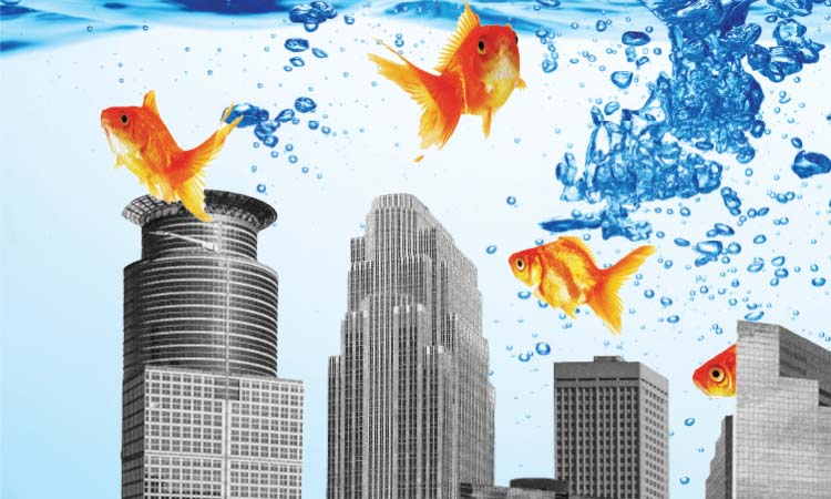 What’s Behind the Commercial Real Estate Mess in Minneapolis?