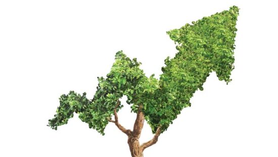 7 Ways to Reframe the Startup Mindset