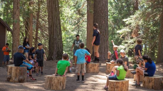 Summer Camp Lessons for CEOs