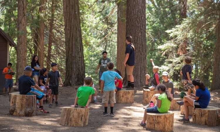 Summer Camp Lessons for CEOs