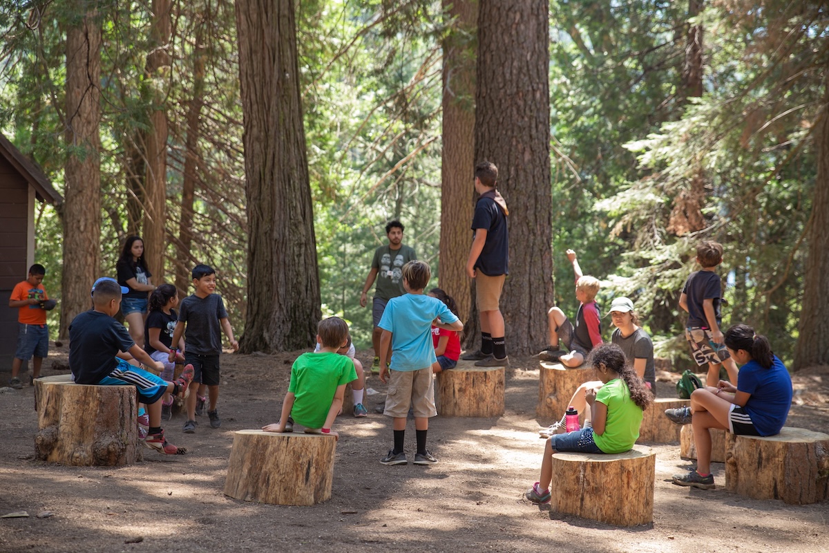 Summer Camp Lessons for CEOs