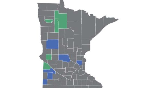 How Do MN’s Counties Rank by Broadband Access?