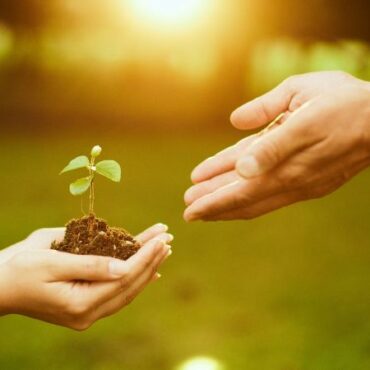 TCB Insights: Leaving a Legacy