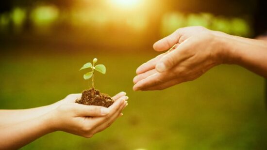 TCB Insights: Leaving a Legacy