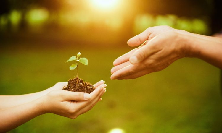 TCB Insights: Leaving a Legacy