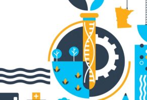 MN Cup 2025: Finalists