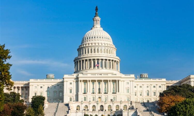 Fedor: Tariff Decision, Election to Bookend 2026 for Minnesota Businesses