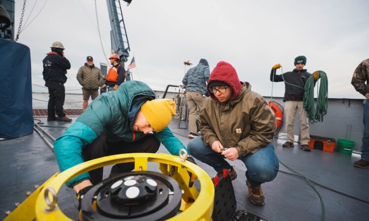 Higher-Ed Students Are Returning—But What Are They Studying?