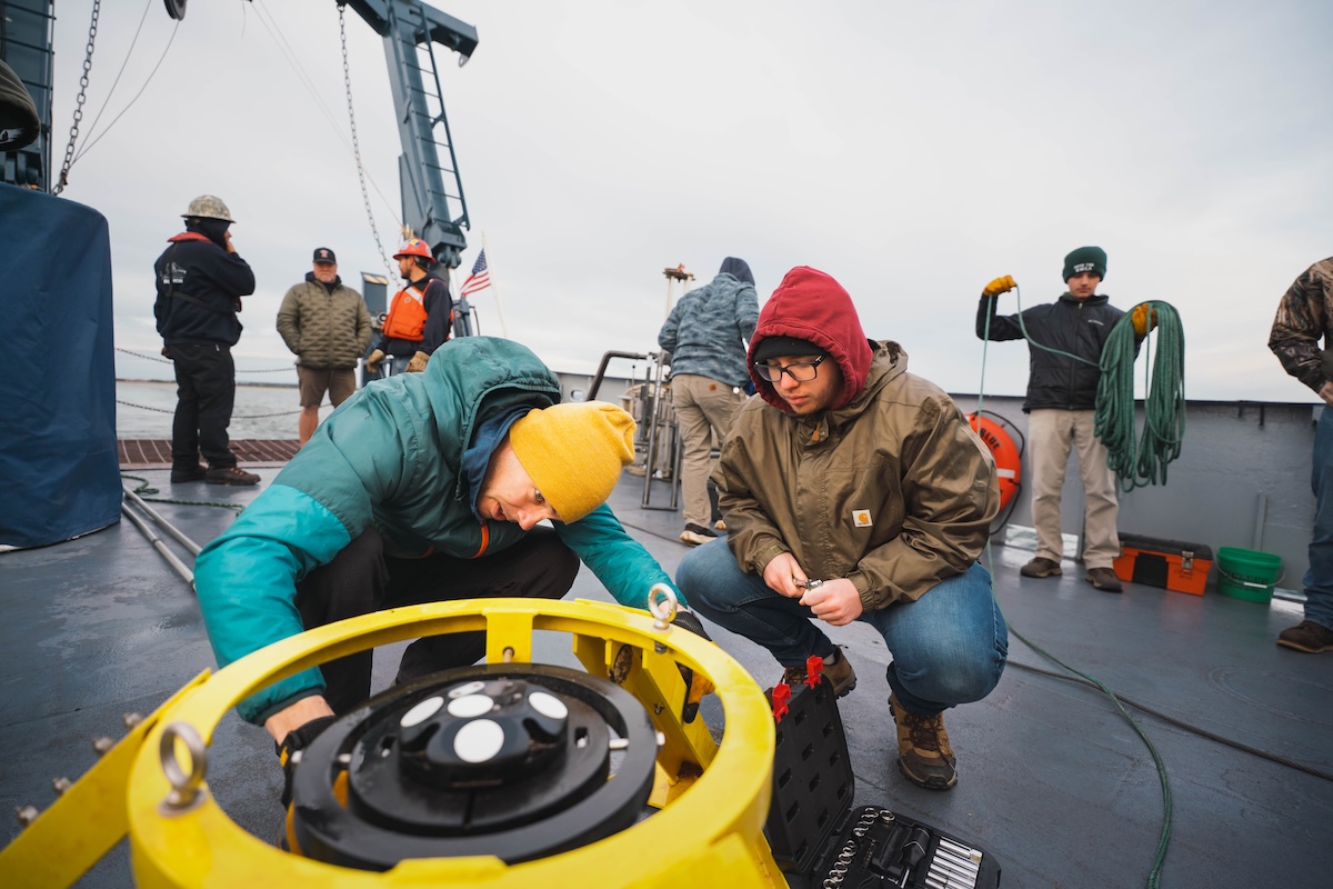 Higher-Ed Students Are Returning—But What Are They Studying?