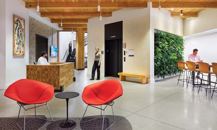 Office Envy: Foundational Appeal