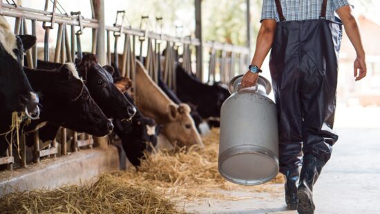 Farm Labor Uncertainty Grows as Federal Agents Withdraw from Minnesota