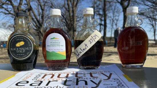 Could Black Walnut Syrup Replace Maple?