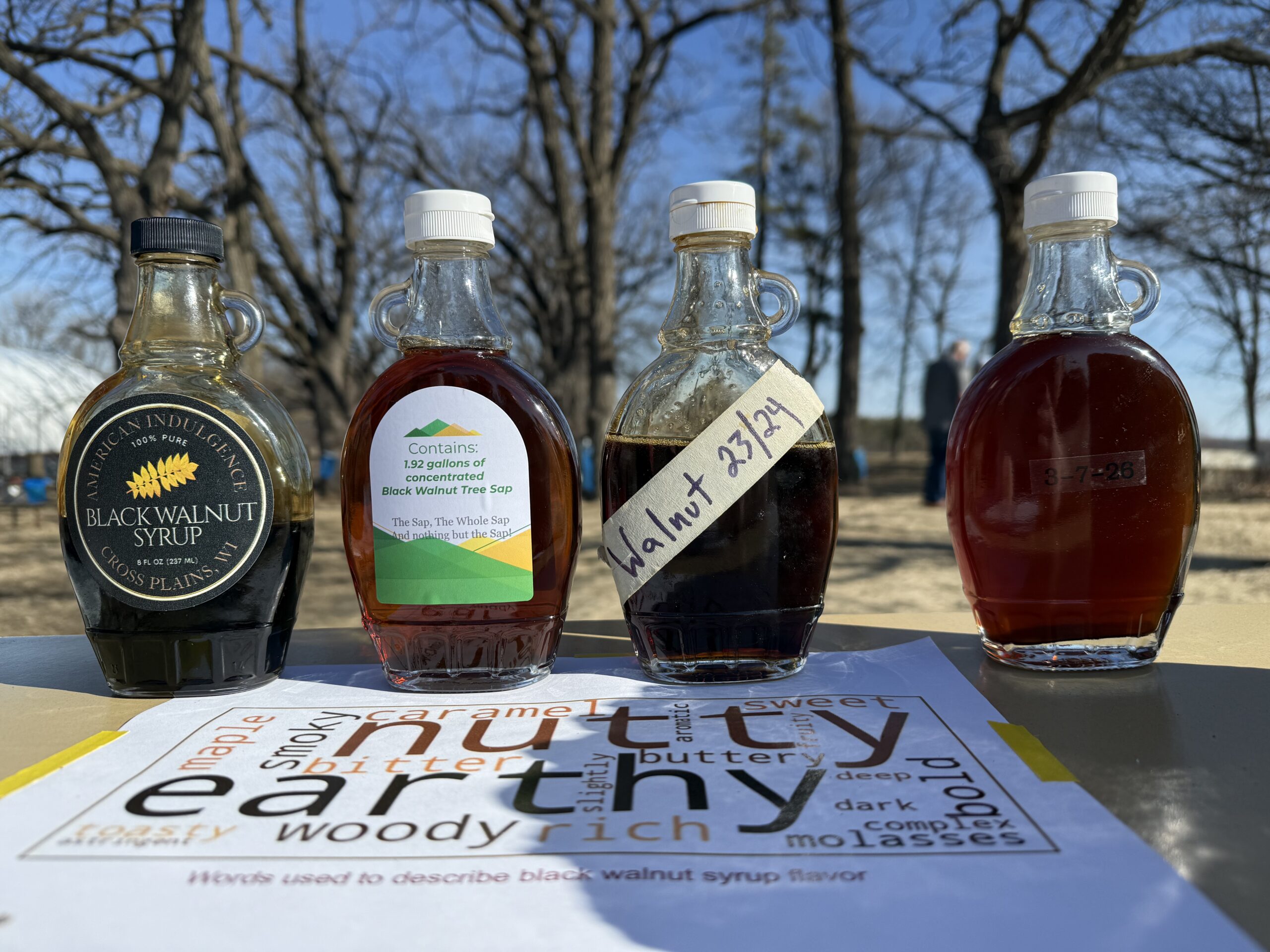Could Black Walnut Syrup Replace Maple?