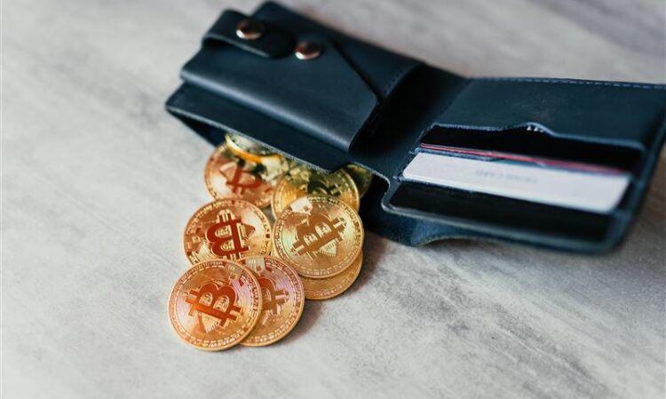 Crypto Is Getting Popular in St. Cloud. One of the City’s Credit Unions Noticed.