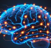 Forget Prevagen, Sudoku, and Crossword Puzzles