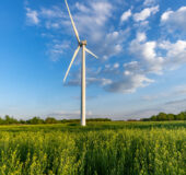 Food/Ag Coalition Pursues Sustainability Path for Livestock Feed