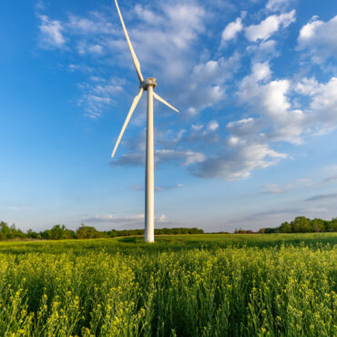Food/Ag Coalition Pursues Sustainability Path for Livestock Feed