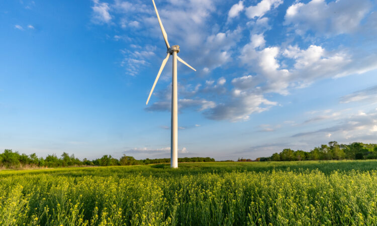Food/Ag Coalition Pursues Sustainability Path for Livestock Feed