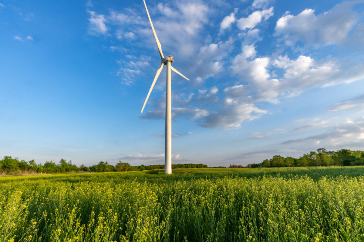 Food/Ag Coalition Pursues Sustainability Path for Livestock Feed