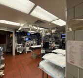 The (Literal) Pulsing Heart of Medtronic’s Relationship with the University of Minnesota