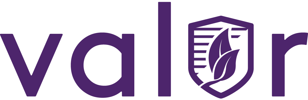 Valor Pest Solutions