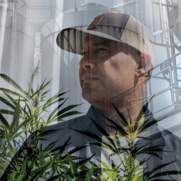 Minnesota Cannabis Businesses Grapple With Growing Pains