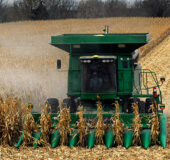 What’s Driving the Financial Crisis on Minnesota Farms?
