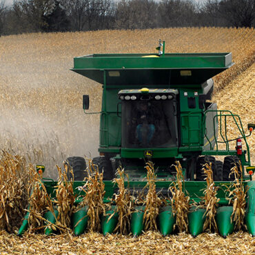 What’s Driving the Financial Crisis on Minnesota Farms?