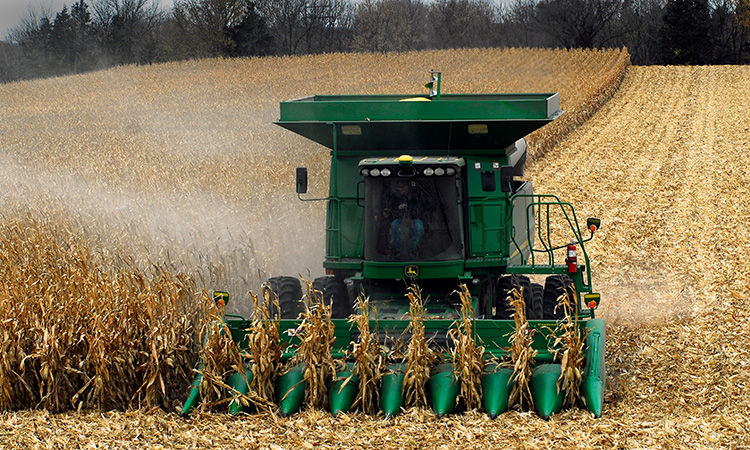 What’s Driving the Financial Crisis on Minnesota Farms?