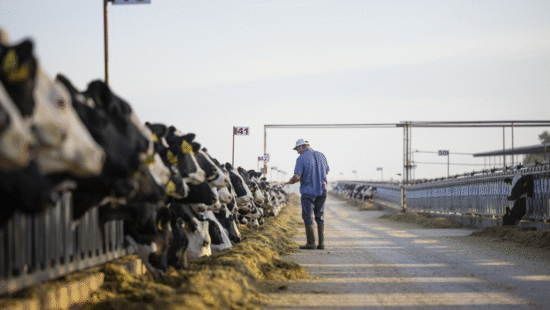 Land O’Lakes Bulks Up Its Protein Capacity
