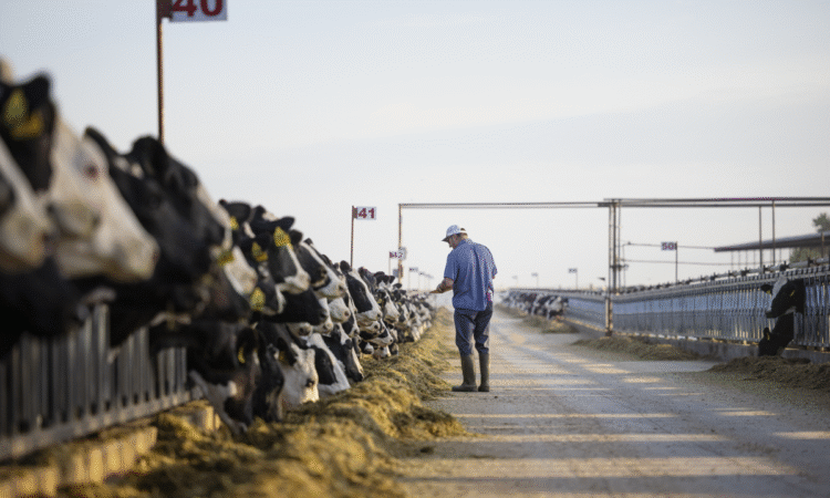 Land O’Lakes Bulks Up Its Protein Capacity